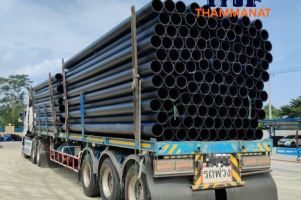 Thammanat-Delivery-2026-Pic86